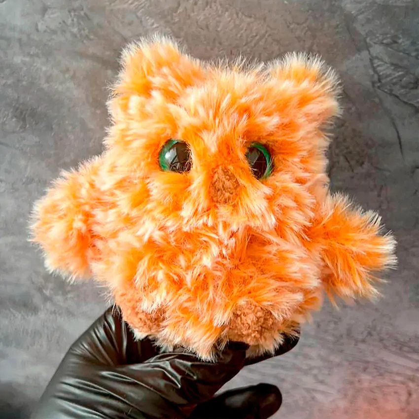 Сова минутка