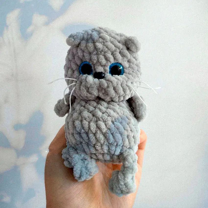 Вислоухий котёнок